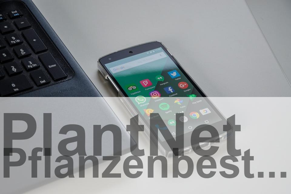 plantnet-pflanzenbestimmung-android-app.jpg