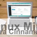 linux-mint-vera-cinnamon-64-bit.jpg