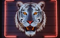 cooles-hintergrundbild-neon-schild-tiger